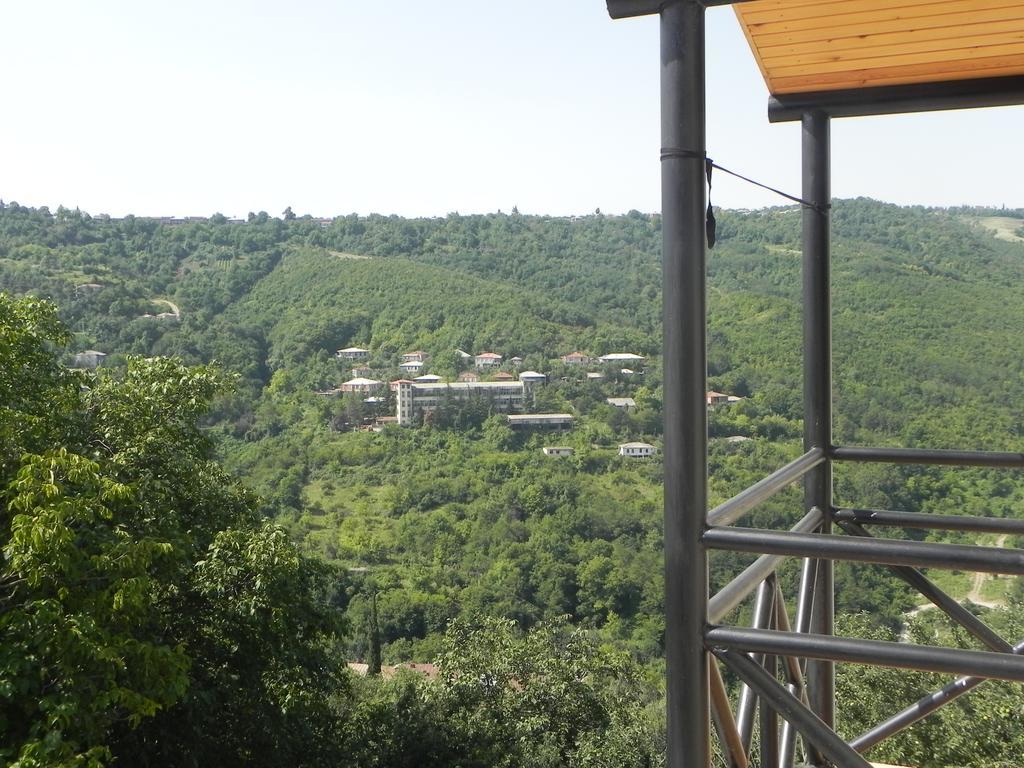Galavnis Kari Hotel سينغناغي الغرفة الصورة