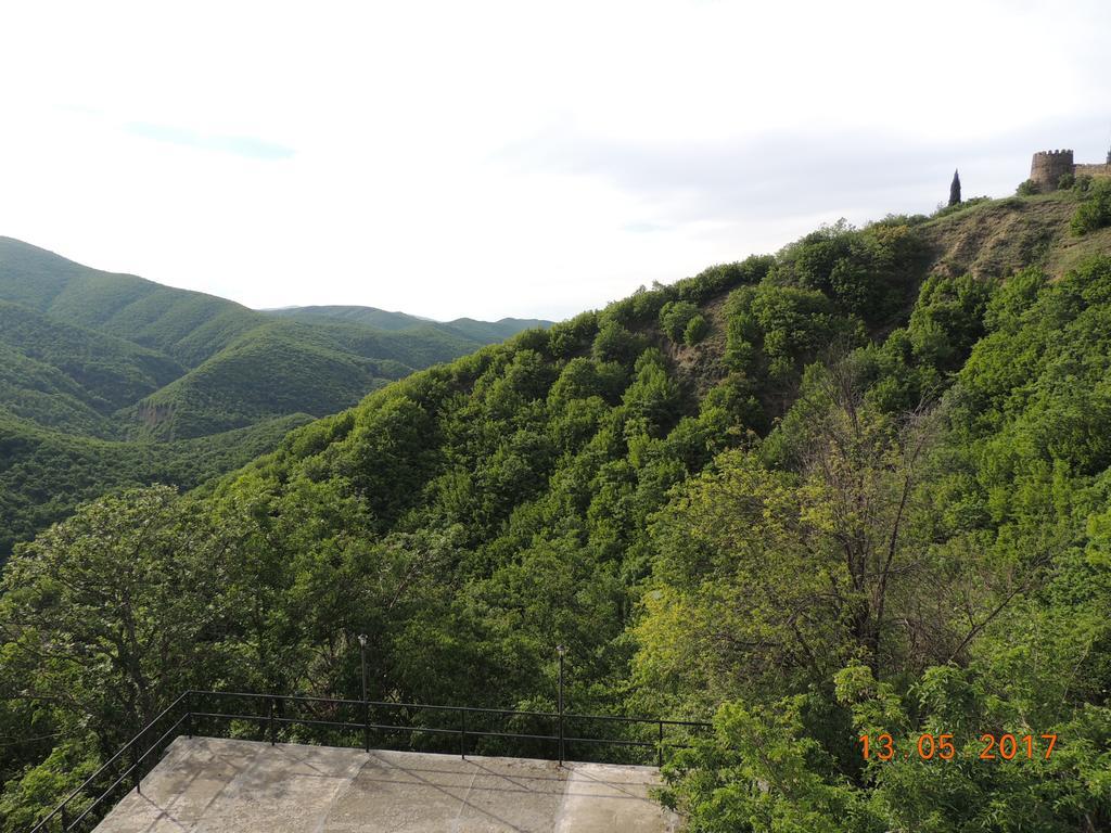 Galavnis Kari Hotel سينغناغي المظهر الخارجي الصورة